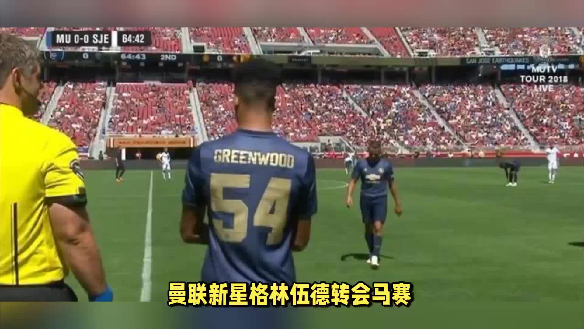 因素这